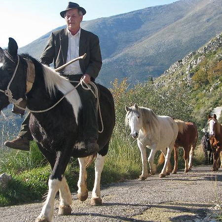 Il Nido Dei Gemelli Villa Formia Kültér fotó