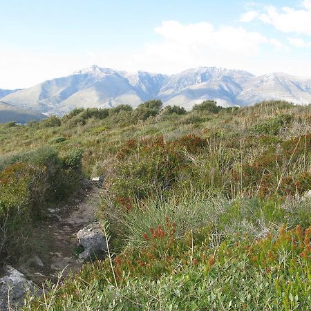 Il Nido Dei Gemelli Villa Formia Kültér fotó