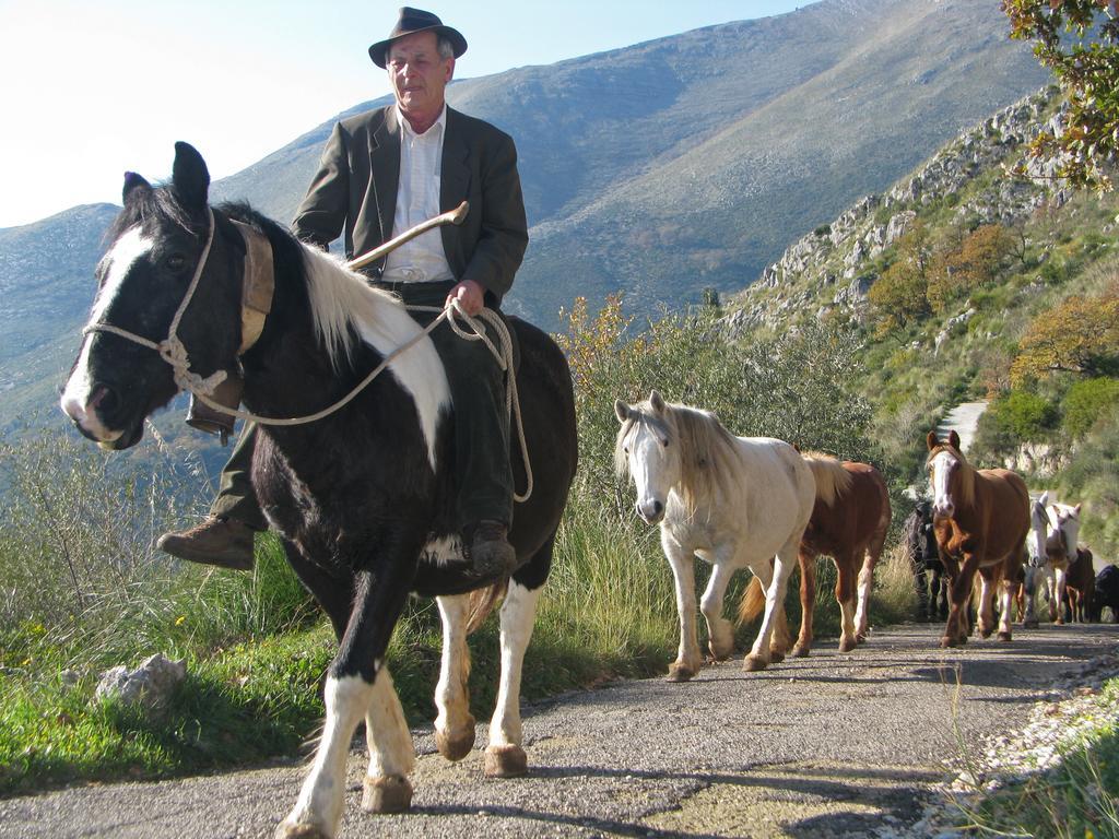 Il Nido Dei Gemelli Villa Formia Kültér fotó